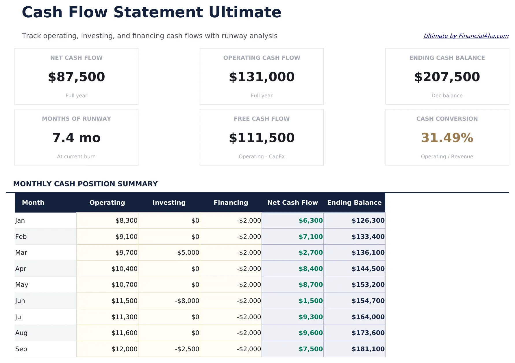 Cash Flow Statement Ultimate preview