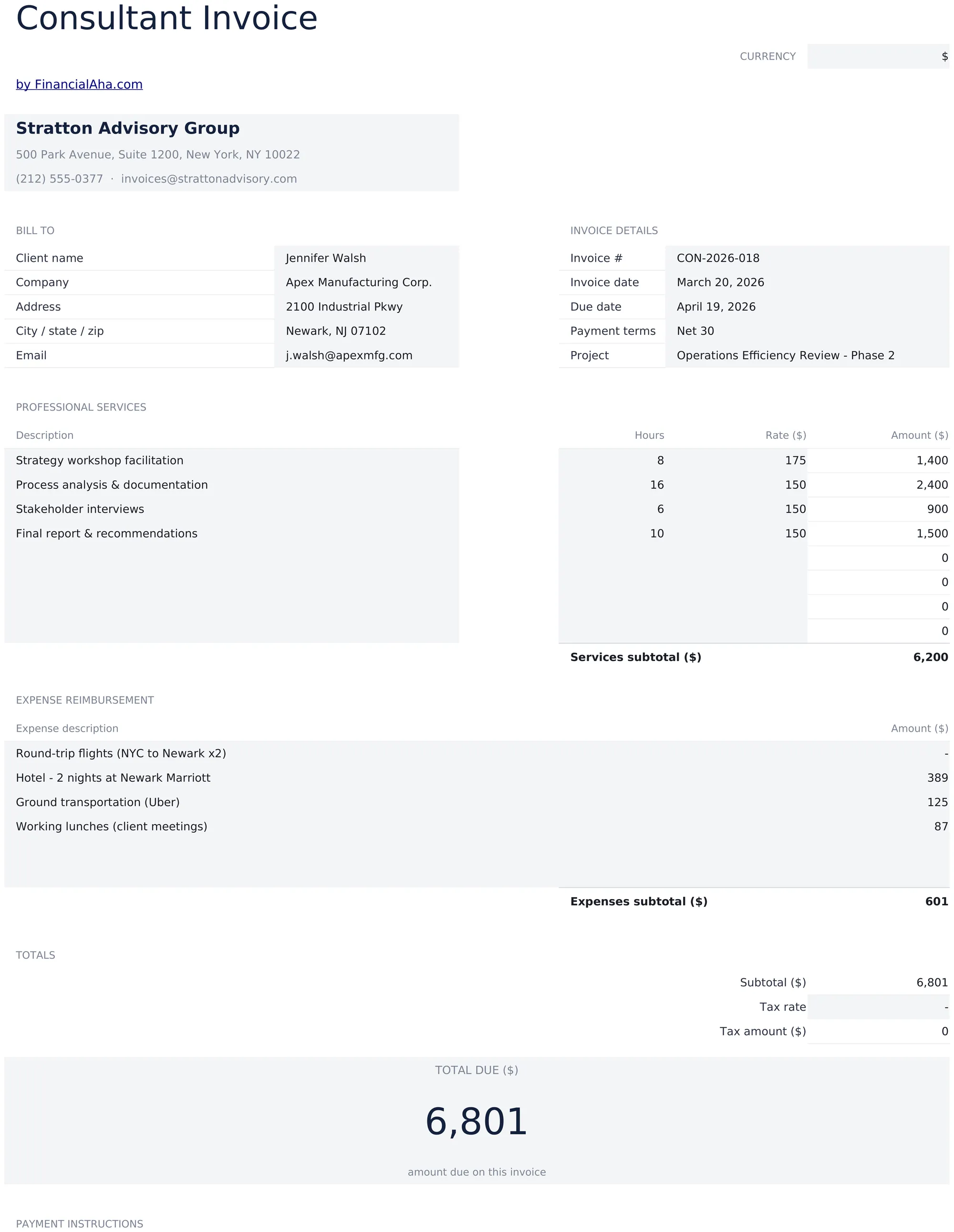 Consultant Invoice preview