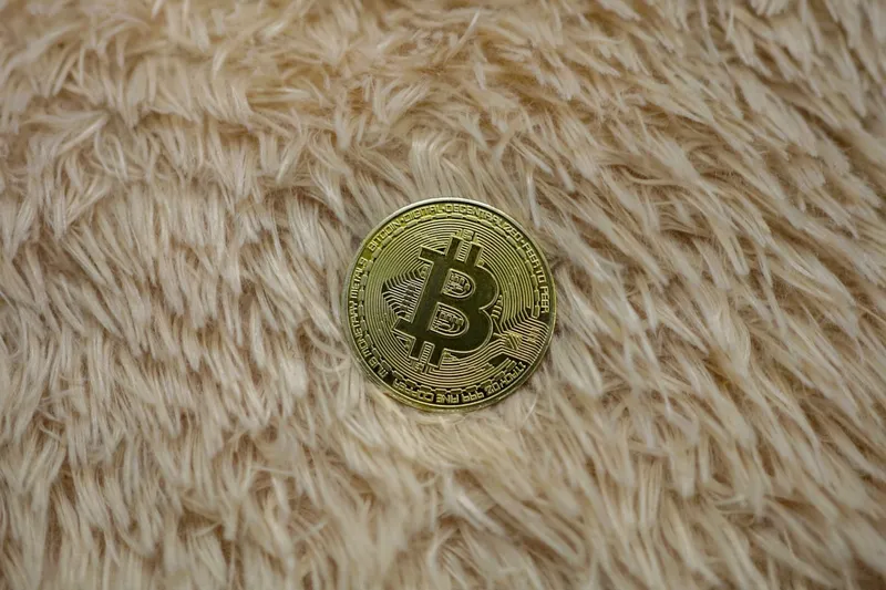 Tracking cryptocurrency and alternative investments in net worth