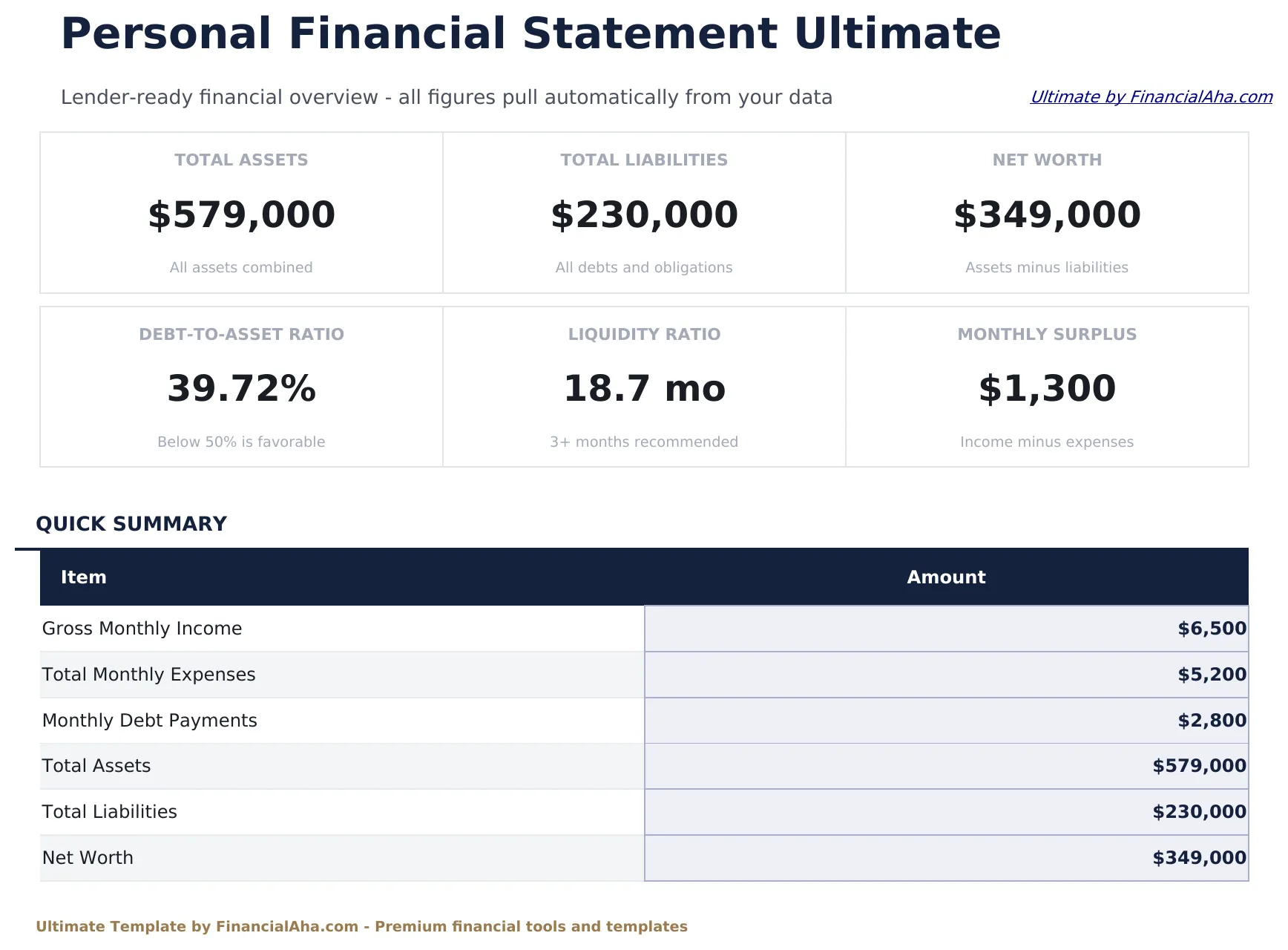 Personal Financial Statement Ultimate preview