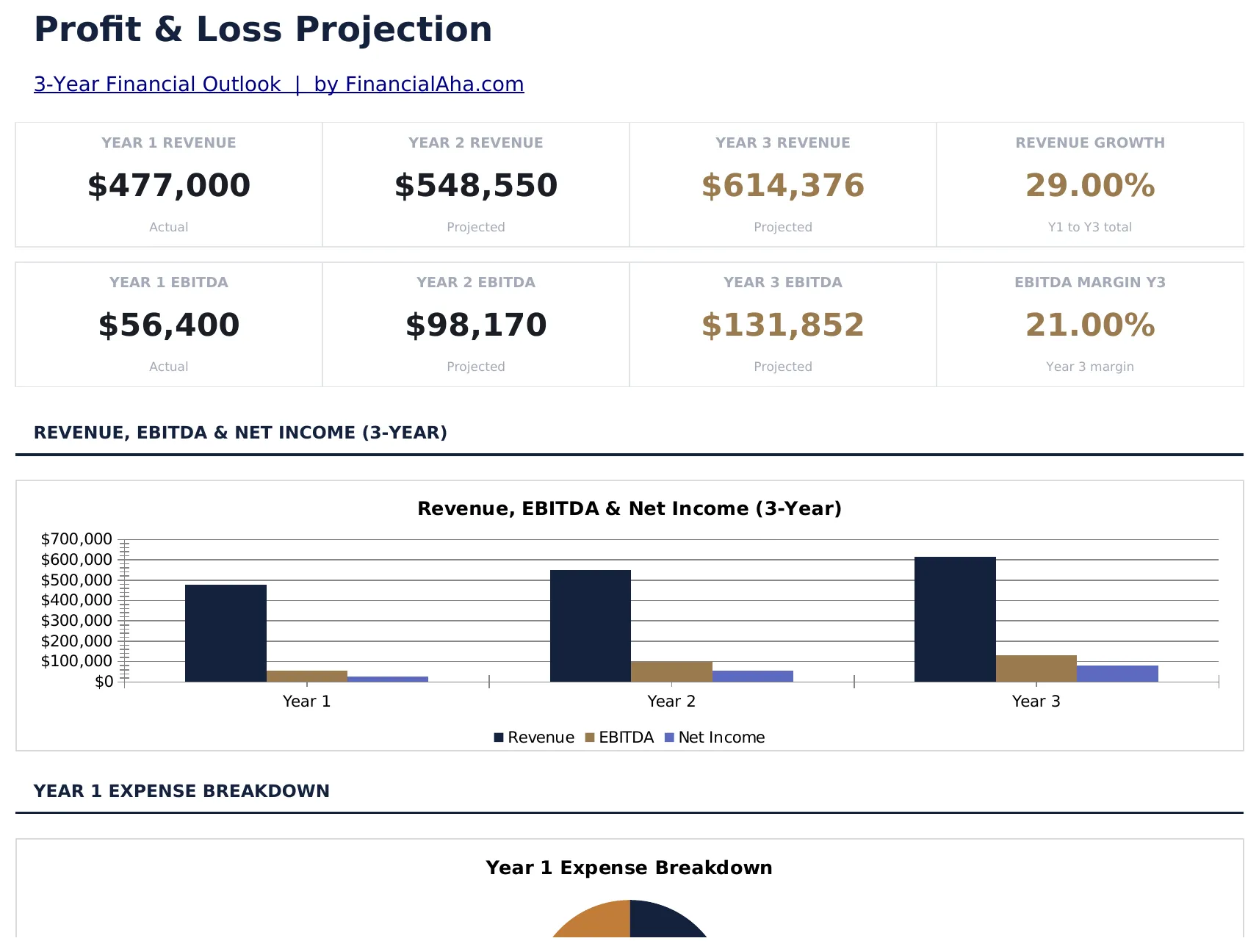 Profit and Loss Projection preview