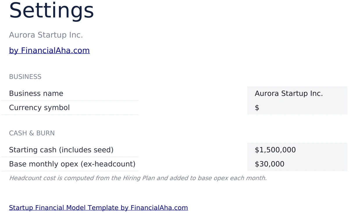 Startup Financial Model Settings