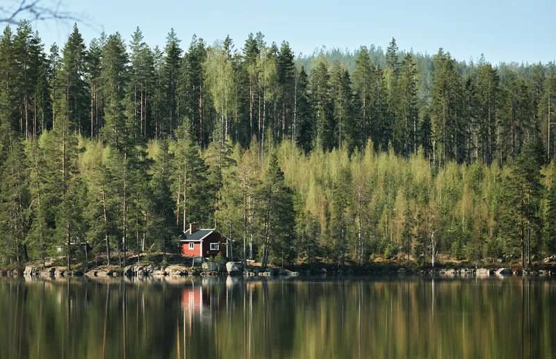 Red wooden cabin on the edge of a calm lake reflecting evergreen and birch trees, with a small rowboat moored at the shore