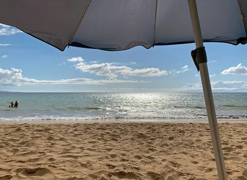 Vacation savings calculator with travel fund progress