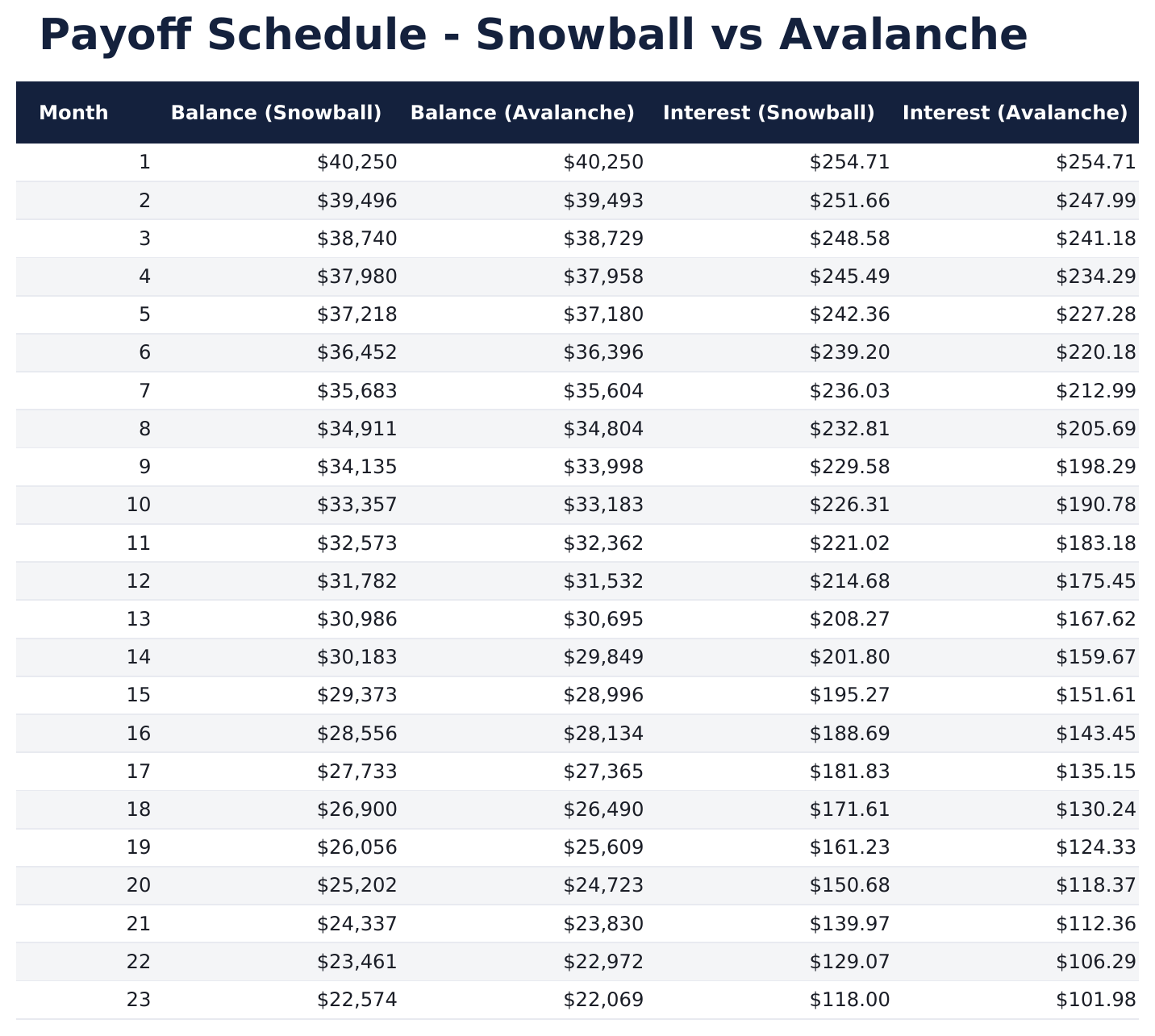 Debt Payoff Calculator - Payoff Schedule