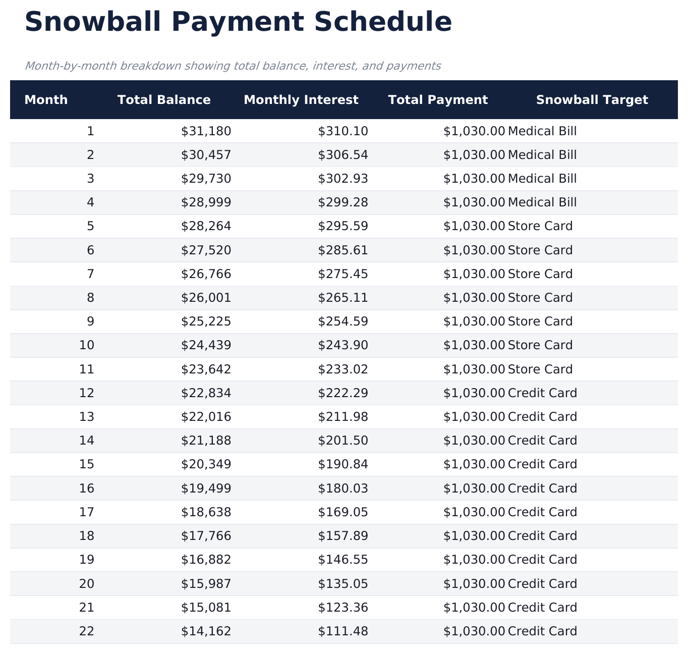 Debt Snowball - Snowball Schedule
