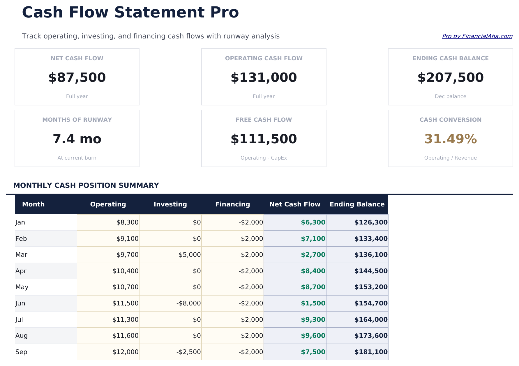 Cash Flow Statement Pro - Dashboard