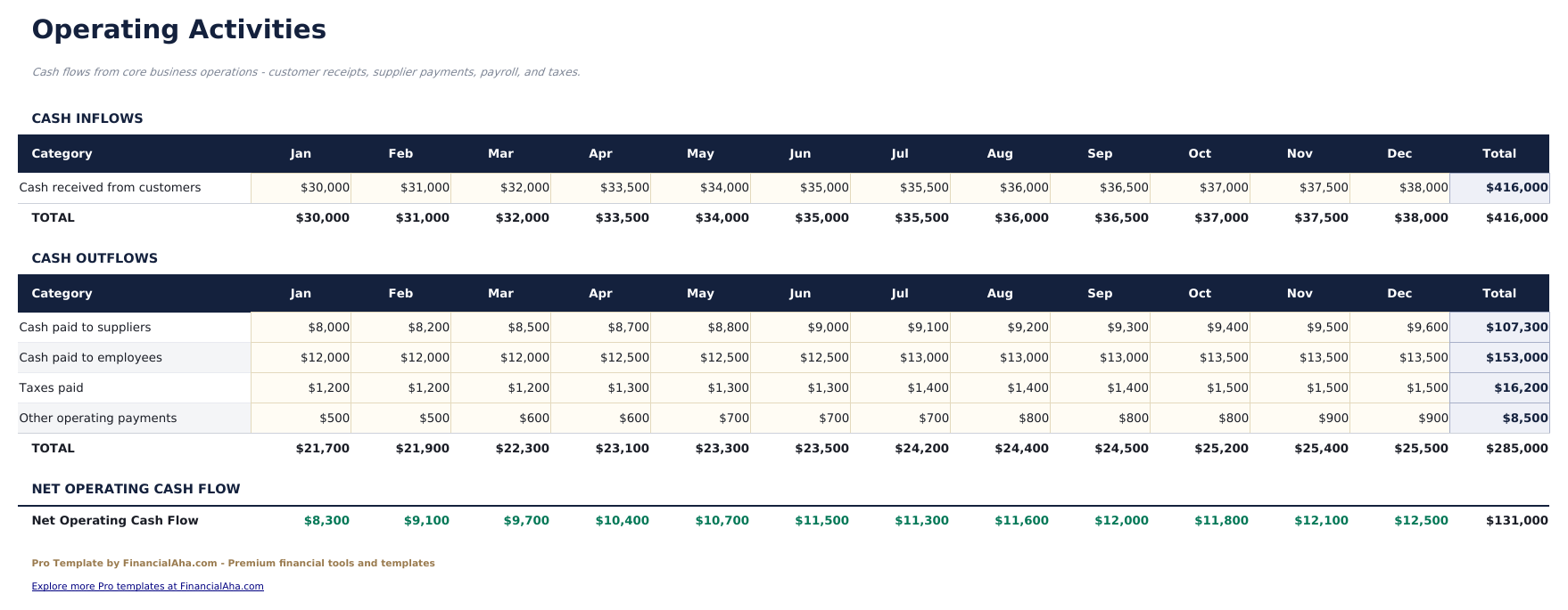 Cash Flow Statement Pro - Operating Activities