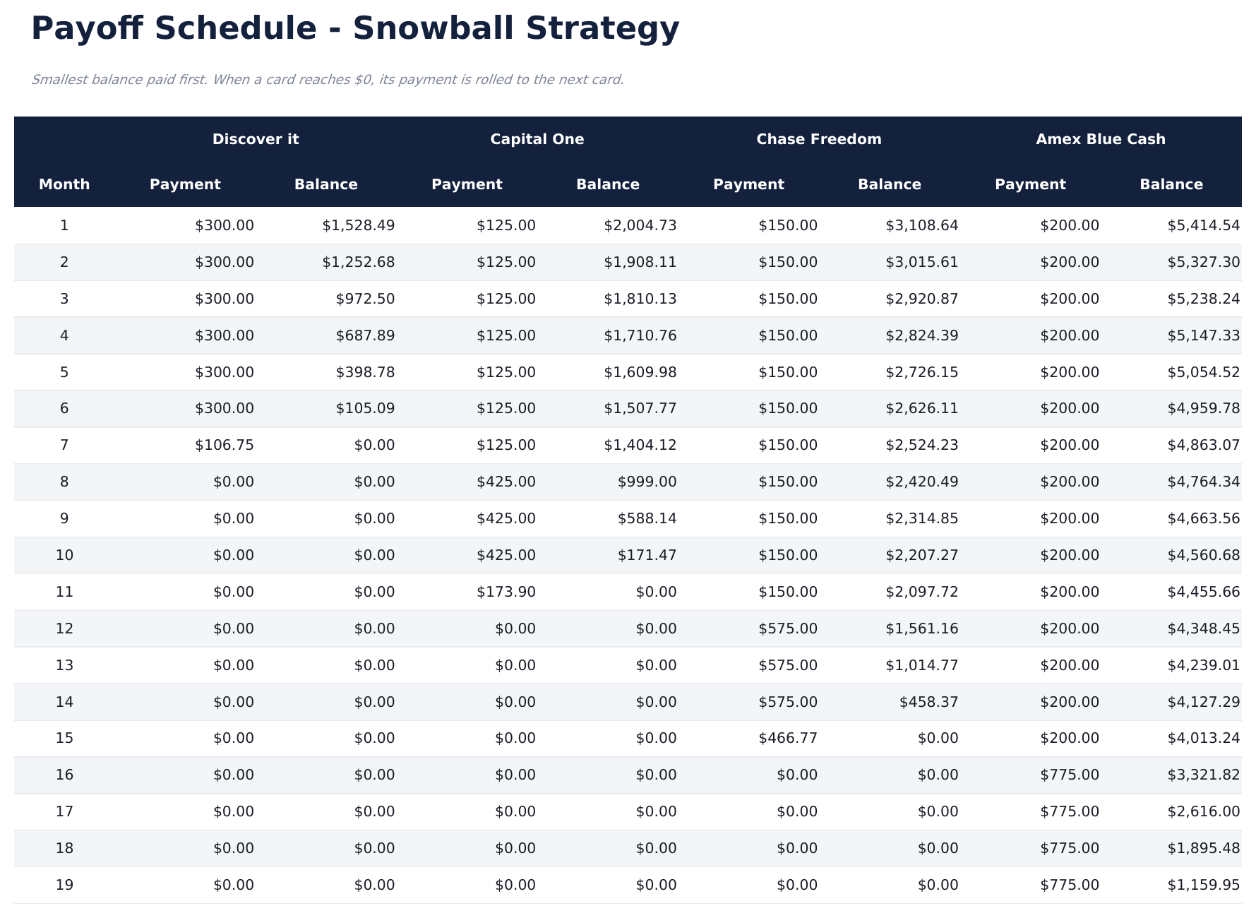 Credit Card Payoff Pro - Payoff Schedule