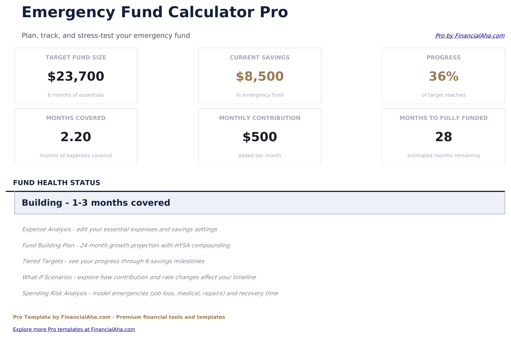 Emergency Fund Calculator Pro - Dashboard