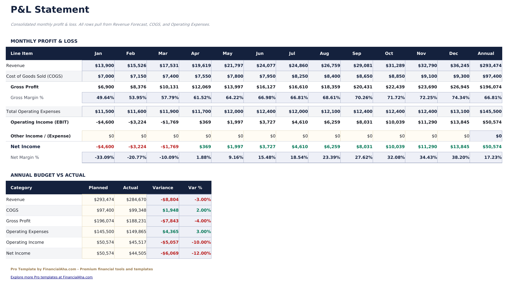 Profit and Loss Projection Pro - P Amp L Statement