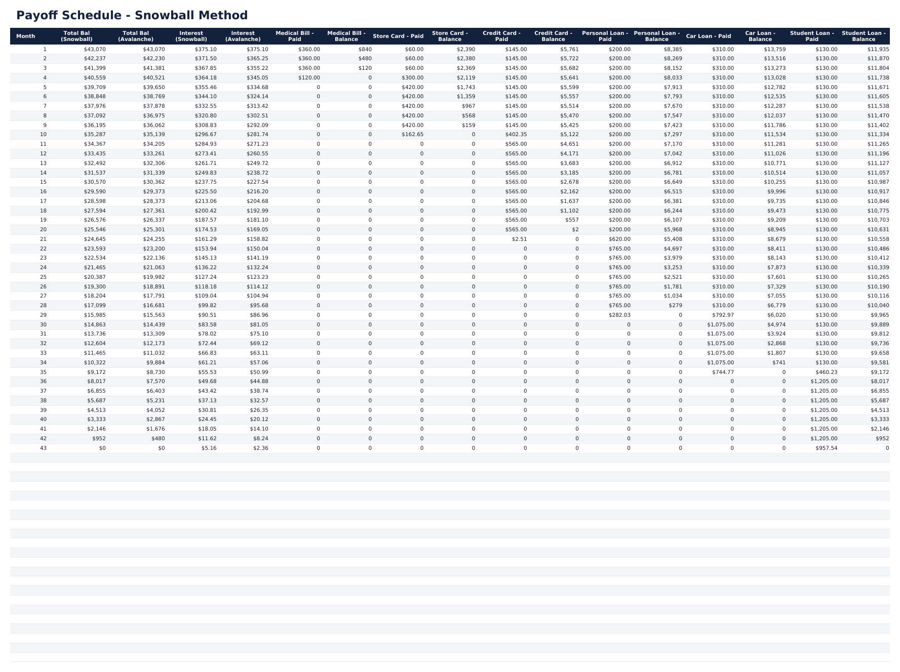 Debt Payoff Calculator Ultimate - Payoff Schedule